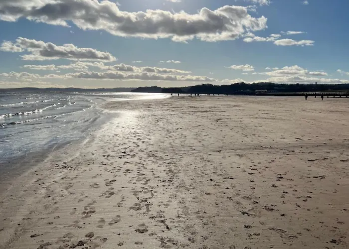 Florita - Dawlish